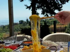 Natural Villas Trabzon