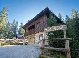 Vila Vesna