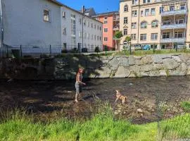 Urlaubsmagie Ferienwohnung Fledermaus - Gemeinschaftsgarten mit Sauna - F1B