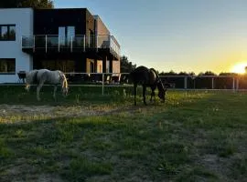 Modern Rancho - apartamenty nad rzeką, przy stadninie koni