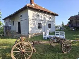 Dragačevska kuća na bregu- Heritage House