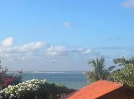 Pipa Centro