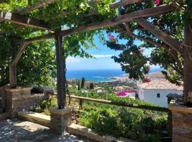 Alba Andros Traditional Villa