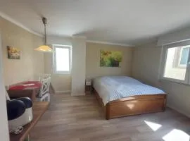 Apartment am Yachthafen 1 OG Moselperle