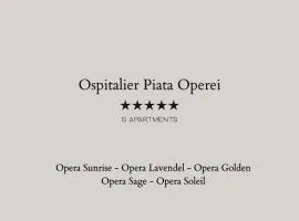 Ospitalier Piata Operei - 5 spacious apartments in City Center