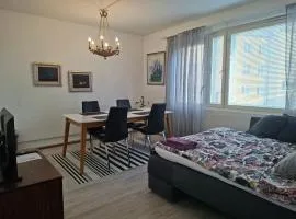 City Apartment Hilla