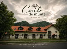 Cuib de Munte