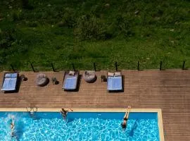Hotel Roshe Gudauri