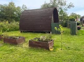 Woodpecker Hollow - Uk45980