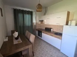 Apartman Metković-stan na dan