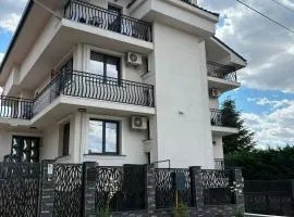 Casa Leahu