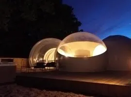 La Bulle des Brosses étoilées
