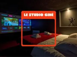 "Studio ciné" appartement atypique Climatisé dans le centre ville de Nevers
