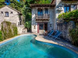 Forest stone Villa with pool