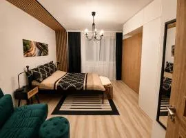 Bytča Central Apartment