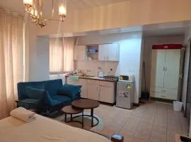 Executive Express Rooftop Pool suites- Ngara