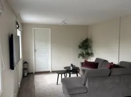 Bright apartment in Haslum