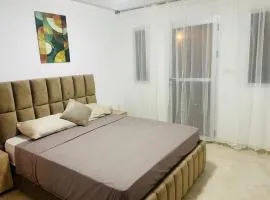 Appartement climatisé avec garage et ascenseur WIFI