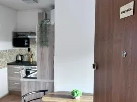 Apartmán Líšný - U Jizery