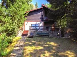 Mountain Family Chalet on Prahova Valley - 1000 sqm private yard