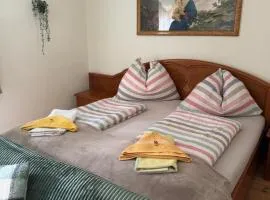 Apartment in Salzkammergut near Hallstatt