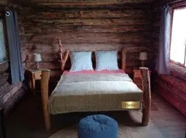 Le nid de bois insolite