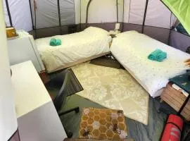 QUEEN BEE tent is available with shared bathroom