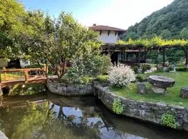 Vodenica kod Uče