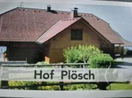 Plösch Hof