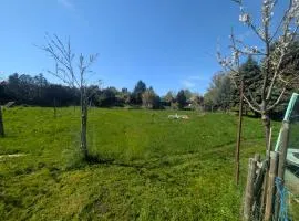 Natur Camping Rabu