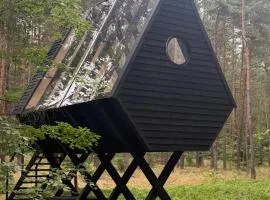 Leśne Obserwatorium FRYGA Farm