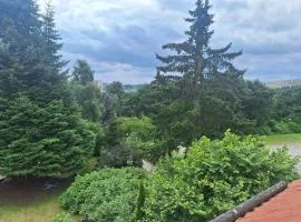 Ferienwohnung im Oberharz