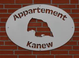 Appartement Kanew，位于彼得多夫奥费马的酒店