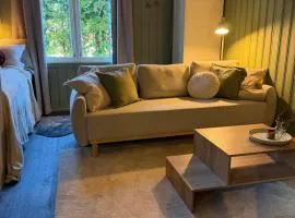 Central Studio apartment