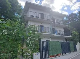 Casa Stejaru