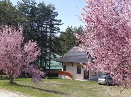 Kuća za odmor Lavanda