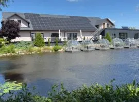 Hotel Nenufar Premium