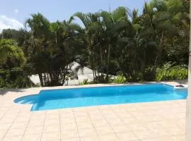 Villa charmante à Petit-Bourg avec piscine privée et jardin.