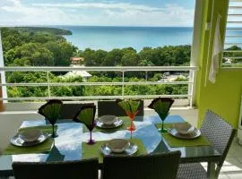 Appartement moderne à Sainte-Anne 43 m² avec vue mer
