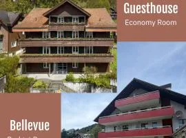Hirschen Guesthouse - Village Hotel