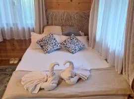 Cabana Plaiul Bucovinei
