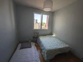 Chambre au centre ville vue sur la Mayenne