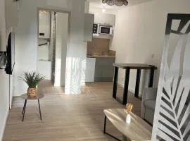 Charmant studio refait à neuf