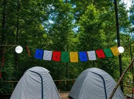 Zion Campsite