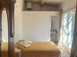 Il Respiro degli Ulivi