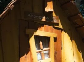 Cabane Froggyroom