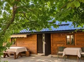Country house in nature -10 min from Nikola Tesla Memorial Center-peace and privacy