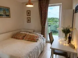 Cozy Vintage Apartment Free Parking