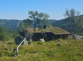 Authentic Secluded Mountain Gem in Telemark