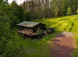 Zenwood Manor - Modern Cottage with Woodstove and Firepit